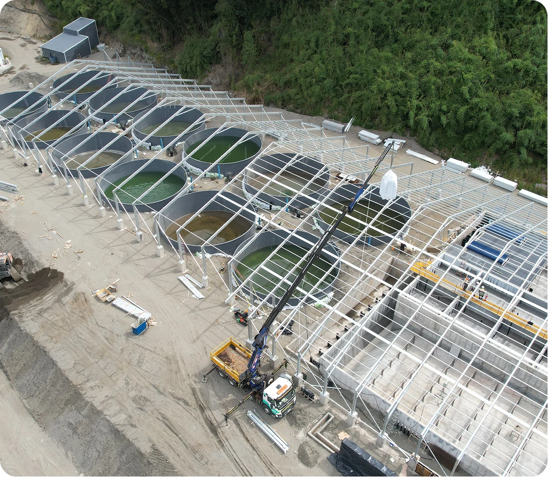 Estructura metálica de una nave de cultivo en construcción