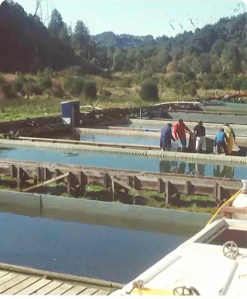 Primera piscicultura de Dalcahue