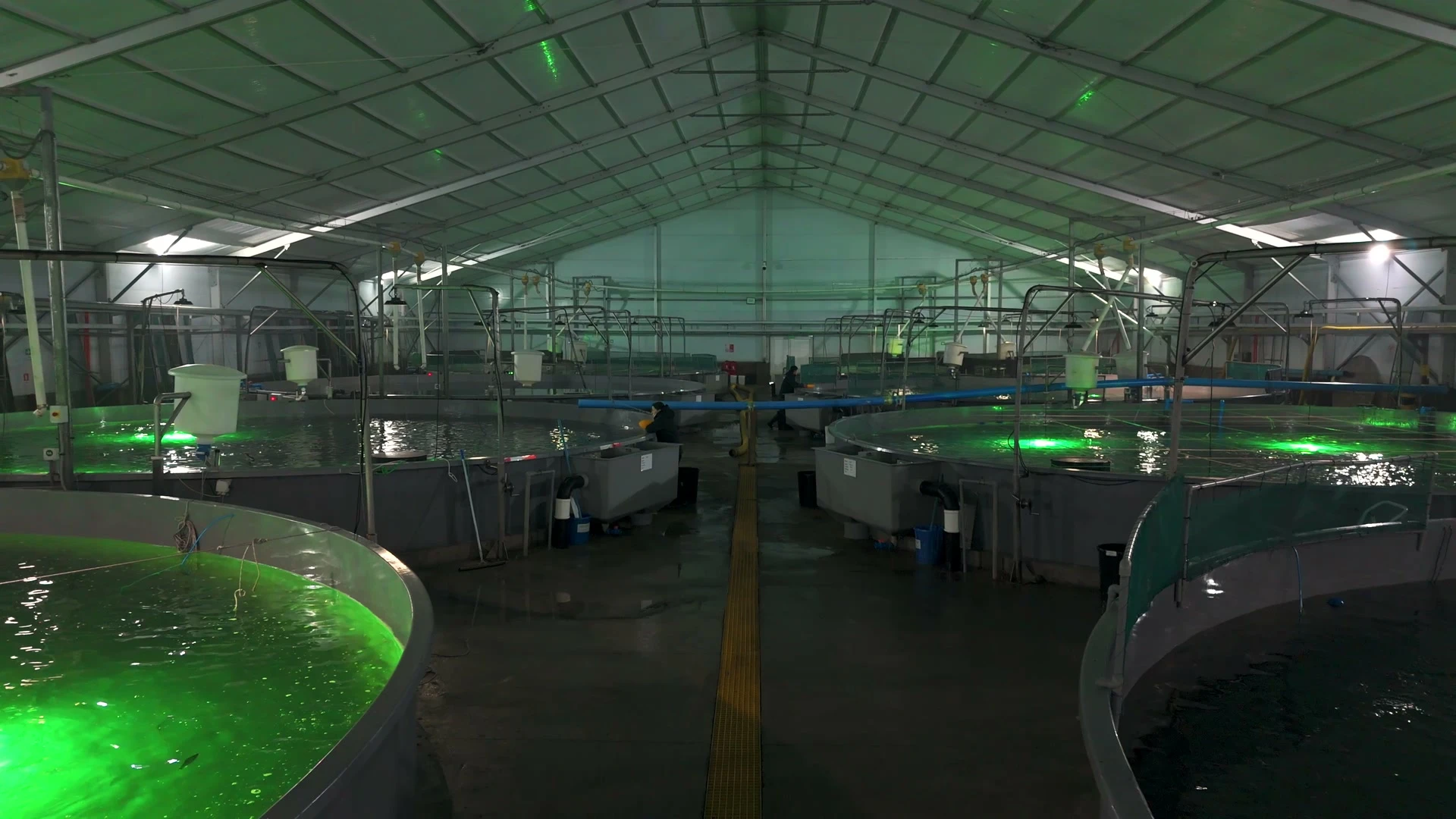 Interior de un centro de cultivo con estanques circulares